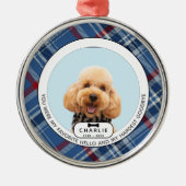 Hardest Goodbye Pet Memorial Glass Ornament (Voorkant)