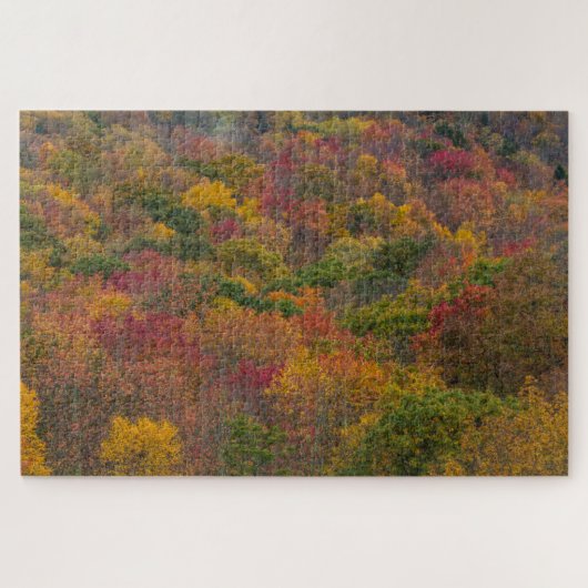 Hardhoutbos in Randolph County, West Virginia Legpuzzel (Horizontaal)