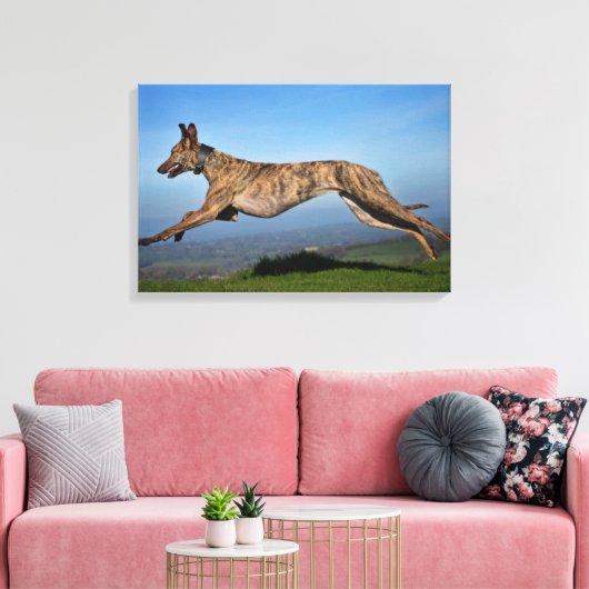 Hardlopen Brindled Lurcher Canvas Afdruk (Insitu (Woonkamer))
