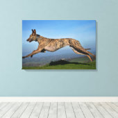 Hardlopen Brindled Lurcher Canvas Afdruk (Insitu (Houten vloer))