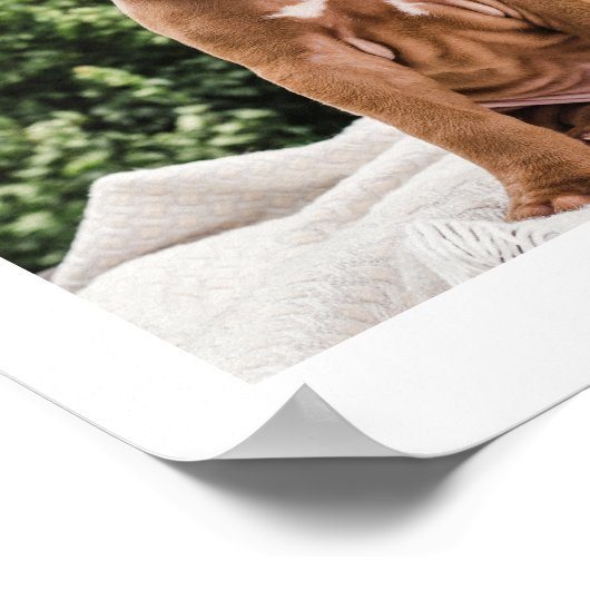 Hardste Afscheid | Huisdierherdenking 11 Foto Coll Poster (Hoek)