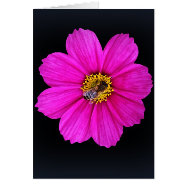 hardwerkende bijen (Voorkant)