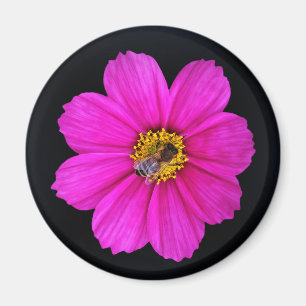 hardwerkende bijen magneet