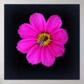 hardwerkende bijen poster (Voorkant)