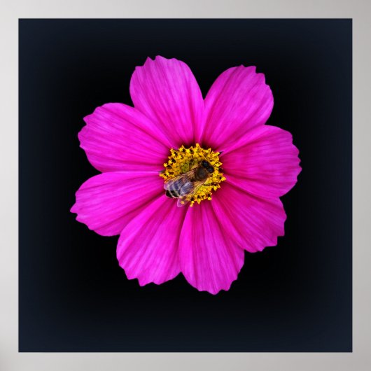 hardwerkende bijen poster (Voorkant)