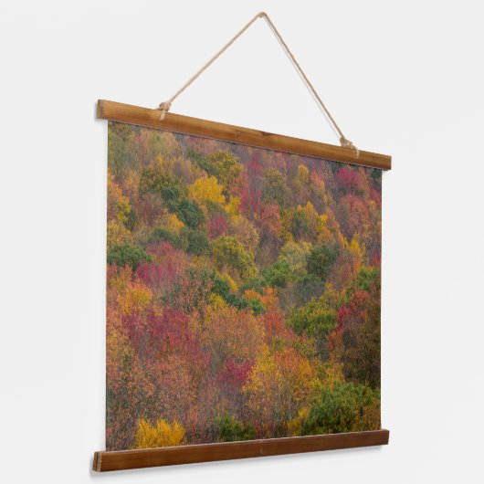 Hardwood Forest in Randolph County, West Virginia Hangend Wandkleed (Gebogen)