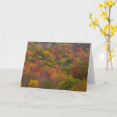 Hardwood Forest in Randolph County, West Virginia Kaart (Gele Bloem)