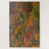 Hardwood Forest in Randolph County, West Virginia Legpuzzel (Verticaal)