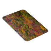 Hardwood Forest in Randolph County, West Virginia Magneet (Rechterzijde)