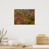 Hardwood Forest in Randolph County, West Virginia Poster (Keuken)