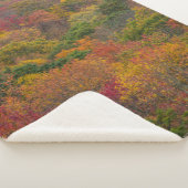 Hardwood Forest in Randolph County, West Virginia Sherpa Deken (3/4)