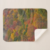 Hardwood Forest in Randolph County, West Virginia Sherpa Deken (Voorkant (horizontaal))