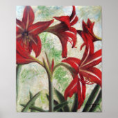 Hardy Amaryllis Poster (Voorkant)
