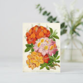 Hardy Azaleas door Sir Joseph Paxton Briefkaart (Staand voorkant)