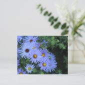 Hardy Blue Aster # 3 Briefkaart (Staand voorkant)