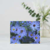 Hardy Blue Aster # 6 Briefkaart (Staand voorkant)