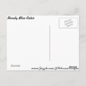 Hardy Blue Aster # 6 Briefkaart (Achterkant)