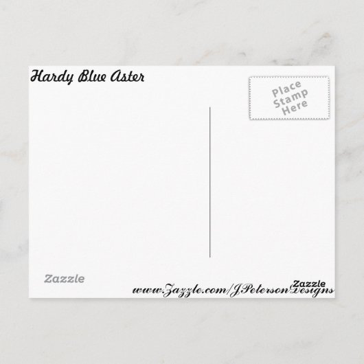 Hardy Blue Aster # 6 Briefkaart (Achterkant)