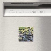 Hardy Creek, Oregon Magneet (Insitu (Vaatwasser))