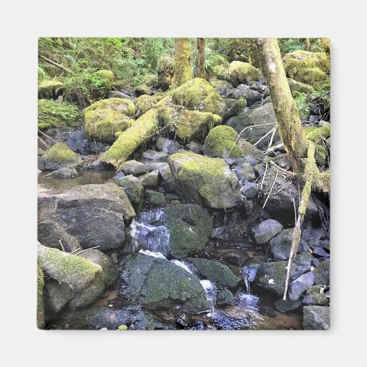 Hardy Creek, Oregon Magneet (Voorkant)