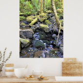 Hardy Creek, Oregon Poster (Keuken)