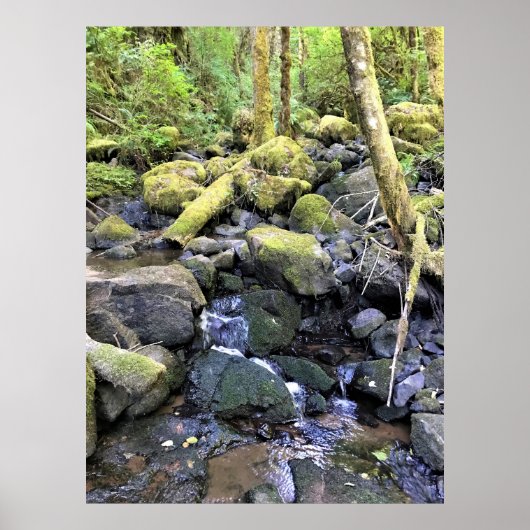 Hardy Creek, Oregon Poster (Voorkant)