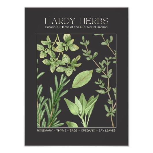 Hardy Herbs Botanical Print  Foto Afdruk (Voorkant)