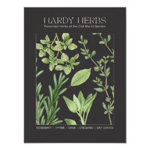 Hardy Kruiden Botanische Print Foto Afdruk