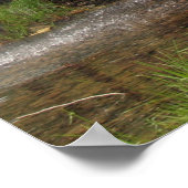 Hardy Mill, Arkansas Poster (Hoek)