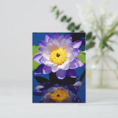 Hardy Waterlily Briefkaart (Staand voorkant)