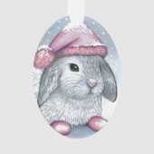 Hare 14 rabbit ornament (voorkant)