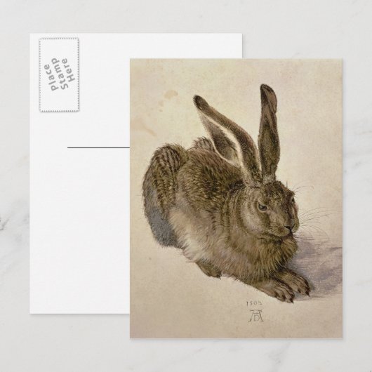 Hare, 1502 briefkaart (Voorkant / Achterkant)