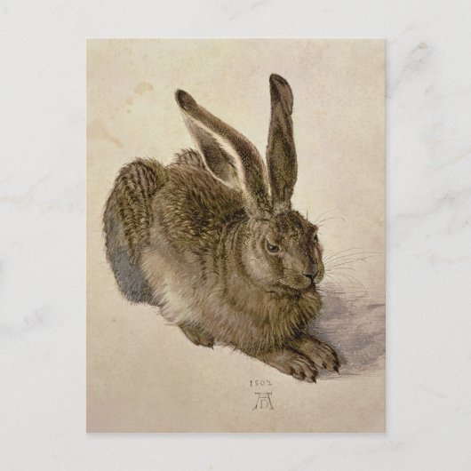 Hare, 1502 briefkaart (Voorkant)