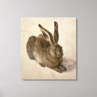 Hare, 1502