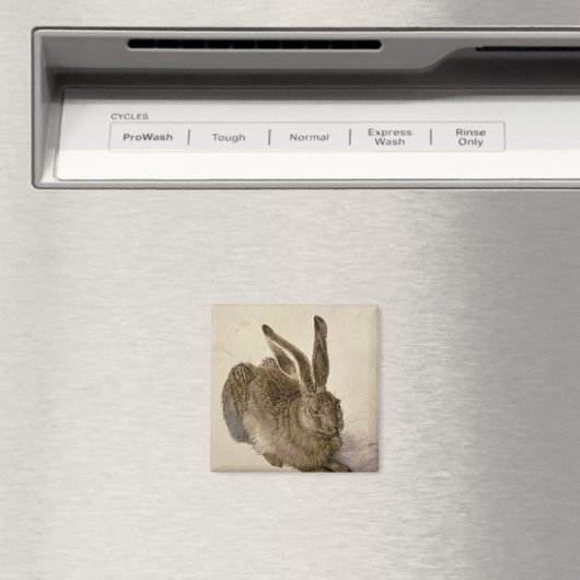 Hare, 1502 magneet (Insitu (Vaatwasser))