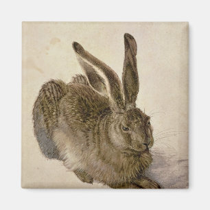 Hare, 1502 magneet