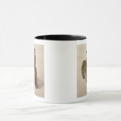 Hare, 1502 mok (Midden)