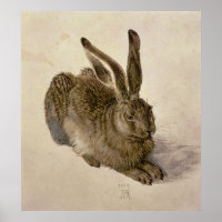 Hare, 1502
