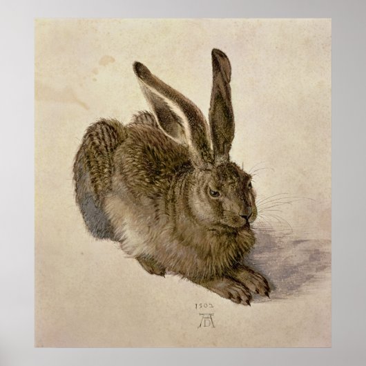 Hare, 1502 poster (Voorkant)