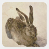 Hare, 1502 vierkante sticker (Voorkant)