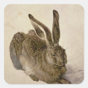 Hare, 1502 vierkante sticker