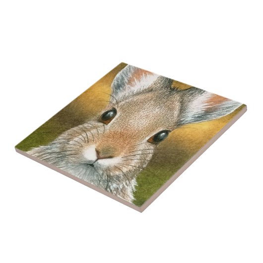 hare 18 Rabbit Bunny Tegeltje (Zijkant)