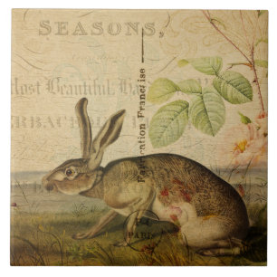  Hare Animal Illustration Floral Collage Tegeltje