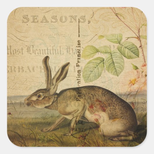 Hare Animal Illustration Floral Collage Vierkante Sticker (Voorkant)