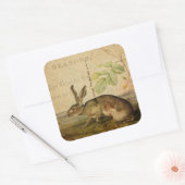 Hare Animal Illustration Floral Collage Vierkante Sticker (Envelop)