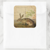 Hare Animal Illustration Floral Collage Vierkante Sticker (Tas)