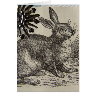 Hare ATC