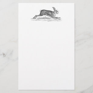  Hare Bunny Rabbit 1800s Illustratie Briefpapier