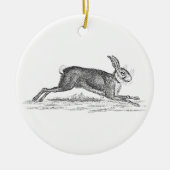  Hare Bunny Rabbit 1800s Illustratie Keramisch Ornament (Voorkant)