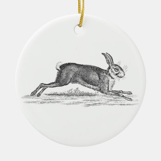 Hare Bunny Rabbit 1800s Illustratie Keramisch Ornament (Voorkant)